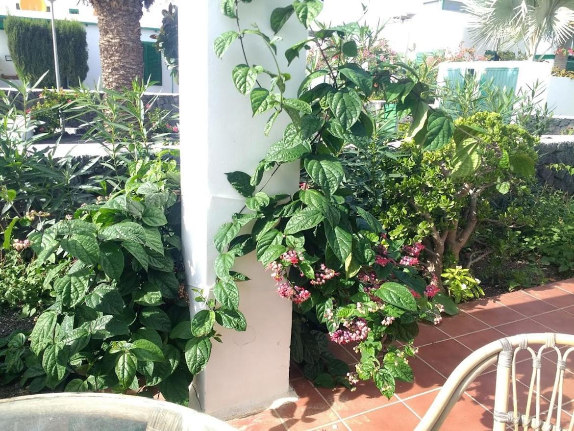 Casa Maracuya Vila Costa Teguise Exterior foto