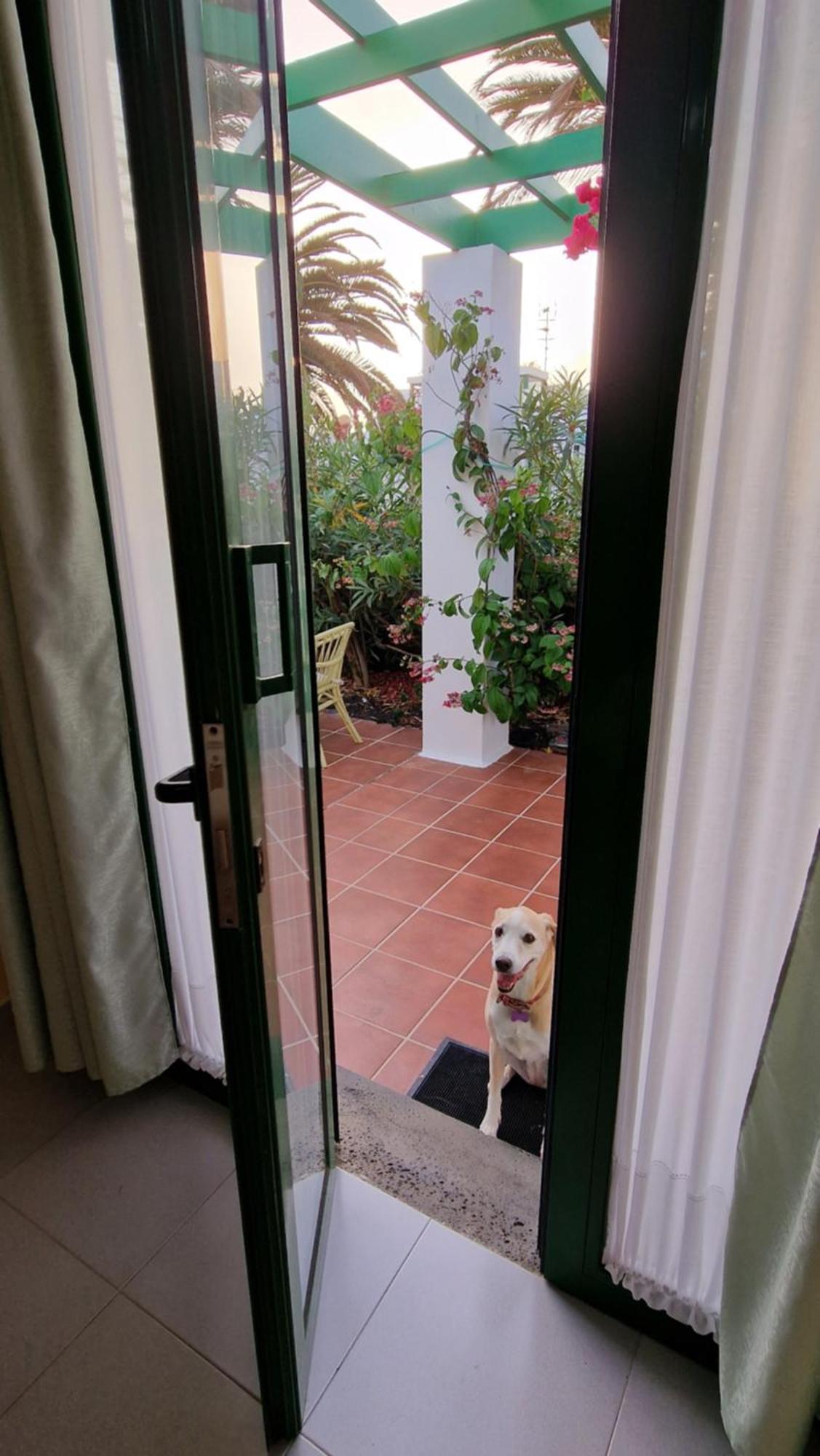 Casa Maracuya Vila Costa Teguise Exterior foto