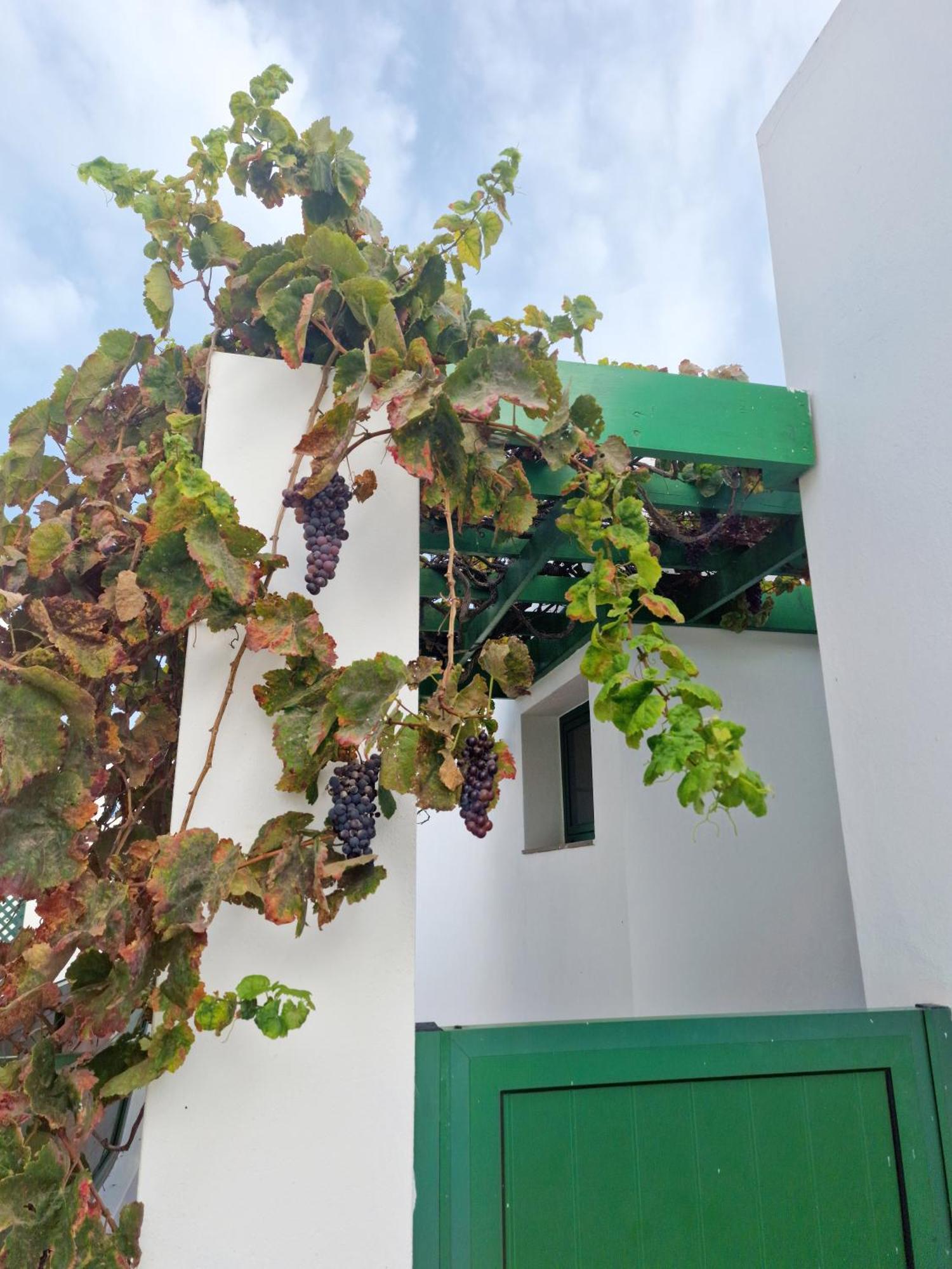 Casa Maracuya Vila Costa Teguise Exterior foto
